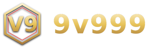 9v999 logo